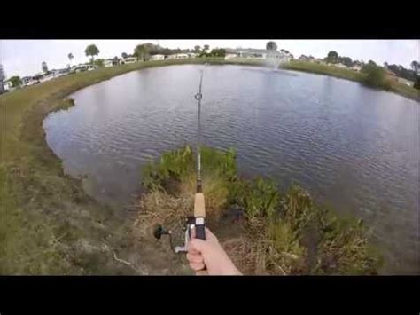 Florida Gar fishing - YouTube