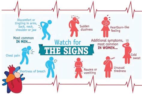 Heart attacks on the rise for young people | The Ely Times Progesterone ...