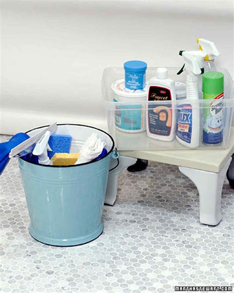 Diy Toilet Bowl Cleaner Martha Stewart