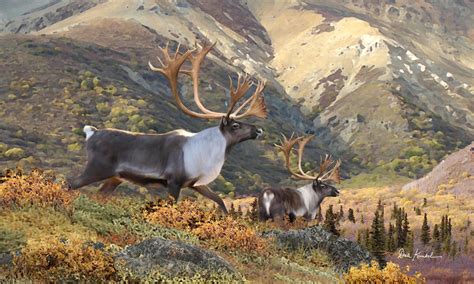 Wildlife Art - Caribou by Dale Kunkel Art