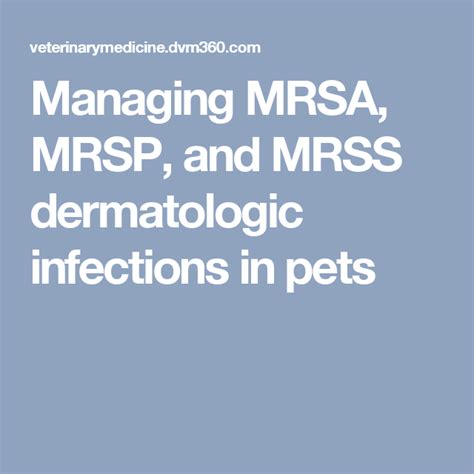 Managing MRSA, MRSP, and MRSS dermatologic infections in pets | Infections, Mrsa, Dermatology