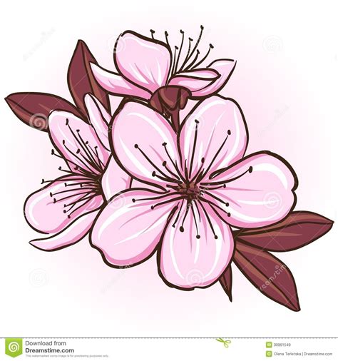 Pin by Gabriela Castro on ☆ algo.... | Cherry blossom vector, Blossom ...