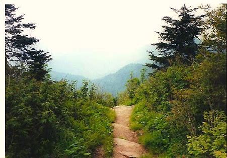 Smoky Mountains Hiking, The ultimate hiking vacation