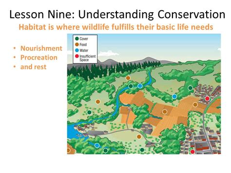 Landscape-Scale approach to Mitigation | Accent on Natural Landscaping