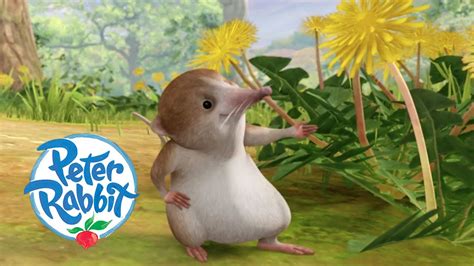 @OfficialPeterRabbit - The Shrew's Dandelions 🌼 | Cartoons for Kids - YouTube