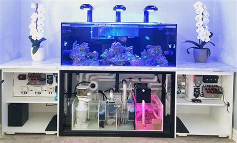 150 Gallon Tank Teardown Selling all equipment | REEF2REEF Saltwater ...