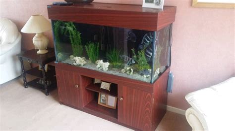 4ft fish tank & cabinet | in Birstall, Leicestershire | Gumtree