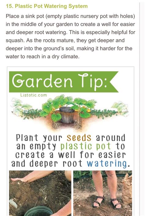 20 Insanely Awesome And Clever Gardening Tips. 🌷🌻🍒🍐🍍🍆🍅 - Musely