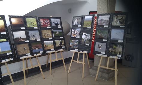 Exposición Fotográfica Itinerante. TRINO - Colectivo Azalvaro