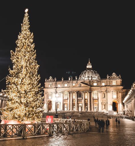 Vatican Christmas Tree 2024 - History & More Details