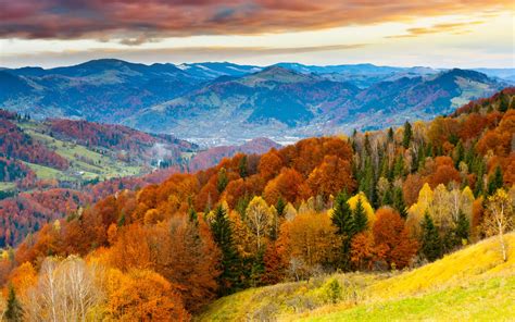 Sunset, autumn mountains, beautiful trees, field, skyline Wallpaper ...