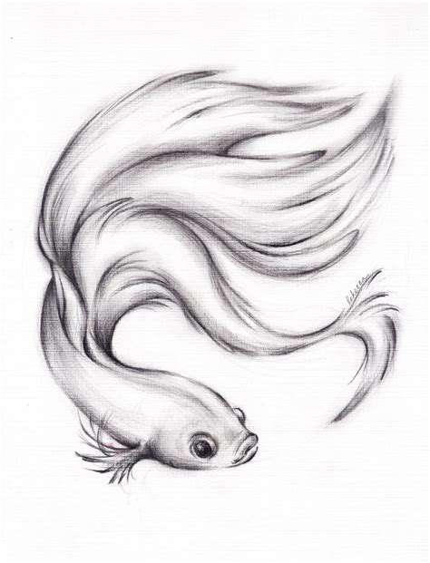 Pin by Sumire Designs on Wild and wonderful wall art | Fish drawings ...