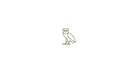 Drake Owl iPhone Wallpaper (74+ images)