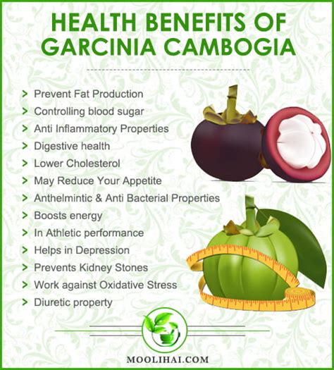 14 Proven Health Benefits of of GARCINIA CAMBOGIA [Kadampuli]