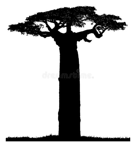 Silhouette Of A Baobab Tree Stock Illustration - Image: 36600038