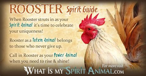 Rooster Symbolism & Meaning | Spirit, Totem & Power Animal | Power ...