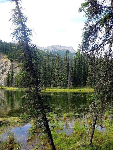 Hiking Horseshoe Lake, Denali Alaska – Rockchuck Summit