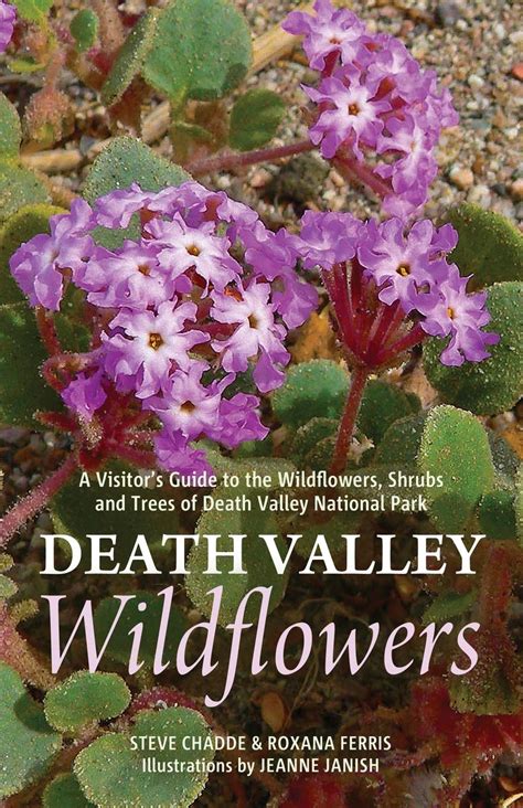 Buy Death Valley Wildflowers: A Visitor's Guide to the Wildflowers, Shrubs and Trees of Death ...