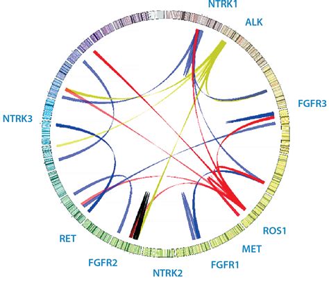 Whole Transcriptome Sequencing | Caris Life Sciences