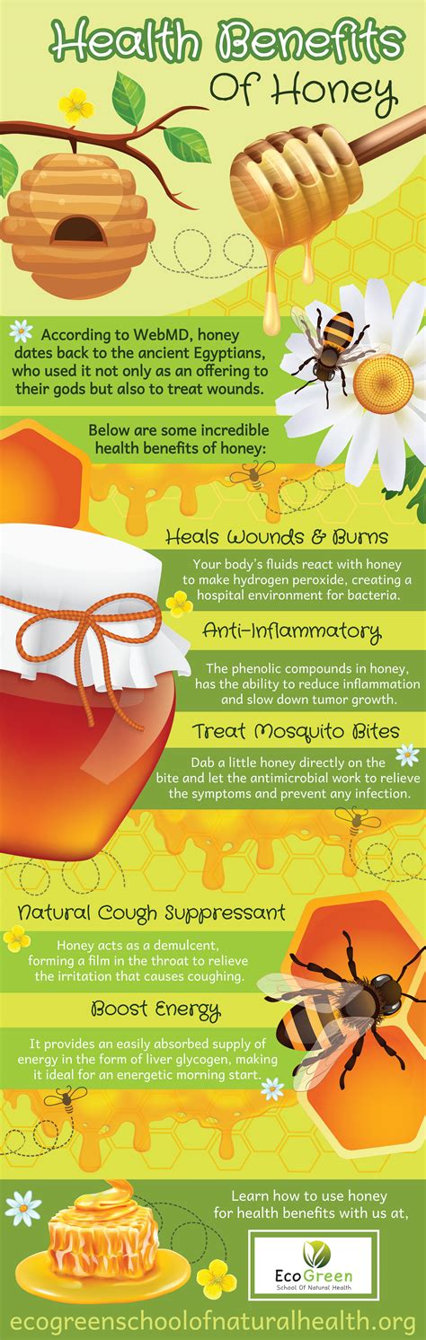 Honey Benefits Infographic :: Behance