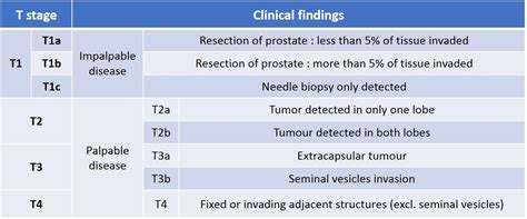 Prostate Tumor Staging Chart