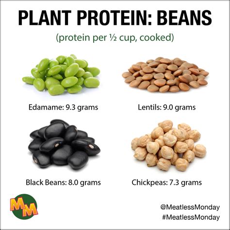 Pile on the Protein with These 10 Plant-Based Foods - Meatless Monday