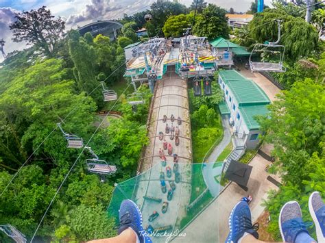 Sentosa Skyline Luge : 5 Reasons why you should ride on the Luge! - TheWackyDuo.com - Singapore ...