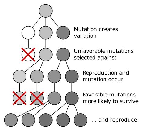 Future of Human Evolution | Biology | Visionlearning