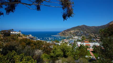 Top Hotels in Catalina Island, CA from $99 (FREE cancellation on select hotels) | Expedia