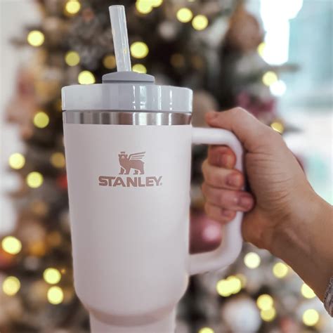 How to get FREE shipping on the new Stanley cup! - Mint Arrow