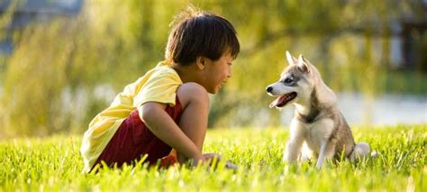 Dogs and Kids: 10 Lessons Pups Teach Us Growing Up | Nylabone