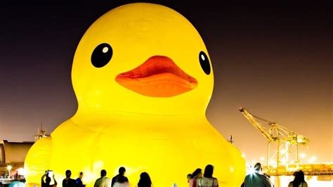 Petition · Bring back our Giant Rubber Duck!! - Los Angeles, United States · Change.org