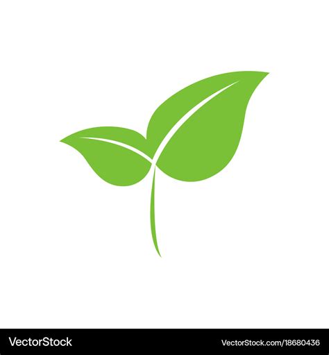 Eco-friendly green leaf Royalty Free Vector Image