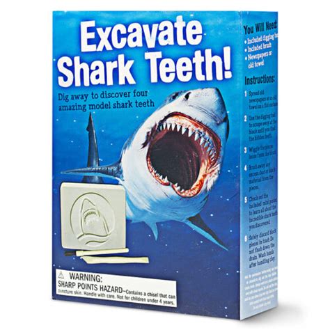 Excavate Shark Teeth! (Activity Kit) | Scholastic Book Clubs