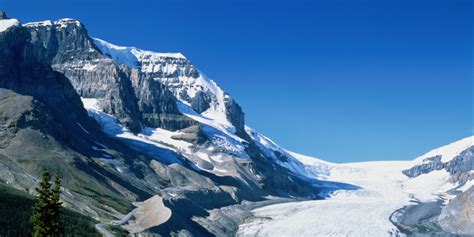 Athabasca Glacier Melting At 'Astonishing' Rate Of More Than Five ...