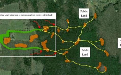 4 Advanced Food Plot Location Strategies | Whitetail Habitat Solutions