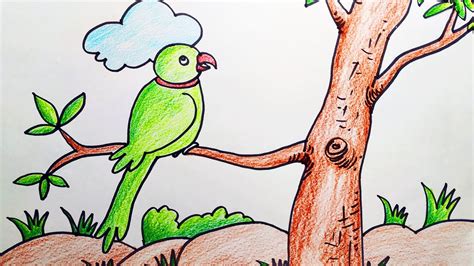 Picture of a Bird sitting on a Tree (Parrot Drawing)। Very Easy Colored Pencil Drawing - YouTube