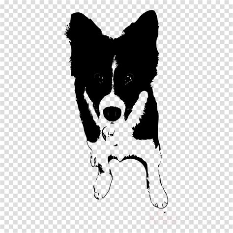 63+ Border Collie Clipart - l2sanpiero