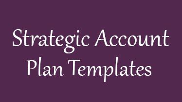 Strategic Account Plan Template - 8+ Free Word, PDF Documents Download