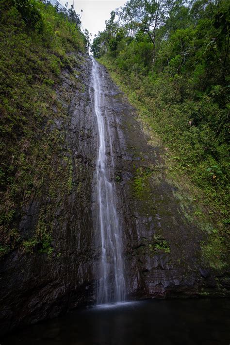 Hiking the Mānoa Falls Trail on Oʻahu — noahawaii