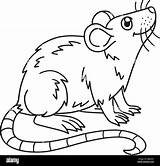 Mouse Coloring Page sketch template