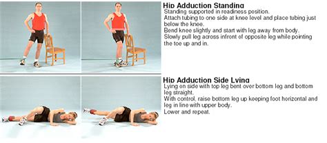 Adductor Muscles Exercises