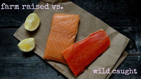 Wild Caught Salmon vs Farm Raised Salmon - Papa Earth