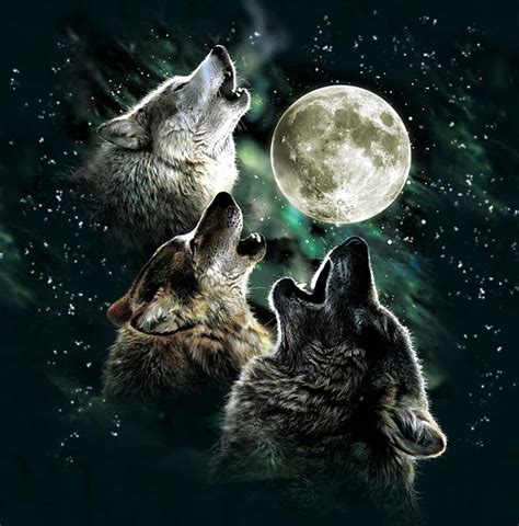 Howling Wolf Pack, wolves, moon, HD phone wallpaper | Peakpx