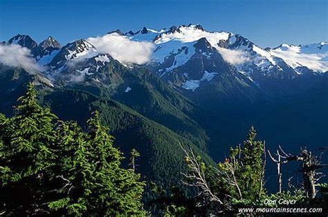 Mount Olympus | Olympic national park, Washington state parks, National ...