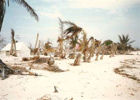 Hurricane Gilbert 1988: The Aftermath in Photos – the suite life of travel