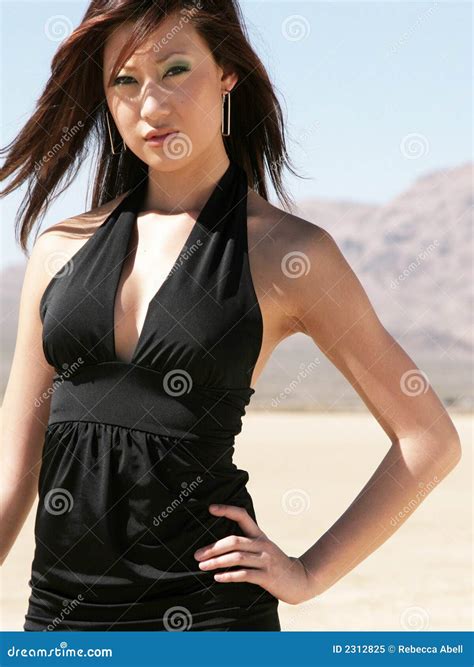 Desert Fashion stock image. Image of beauty, fashionable - 2312825