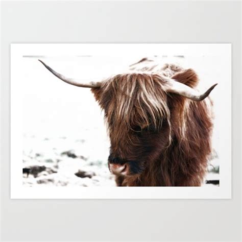 Scottish highland cattle Art Print by Christine Baessler | Society6