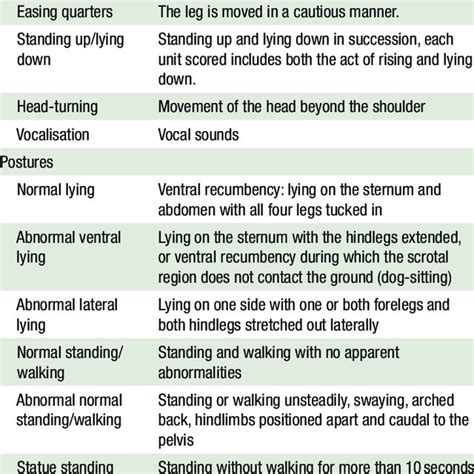 Description of lamb active behaviour, postures and indices recorded ...