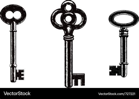 Skeleton keys Royalty Free Vector Image - VectorStock